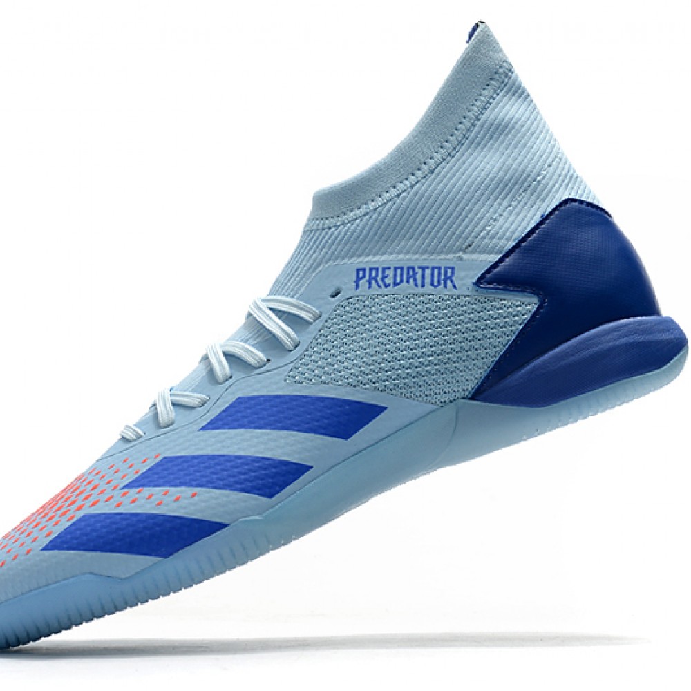 blue and orange predators